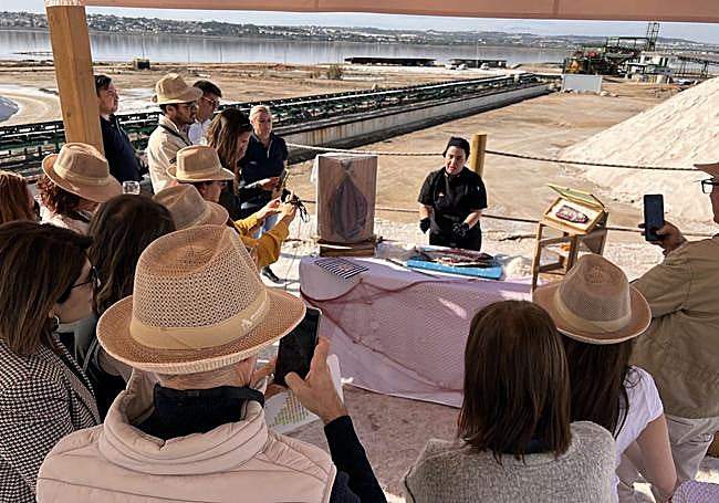 Consorcio para el Desarollo Económico de la Vega Baja del Segura