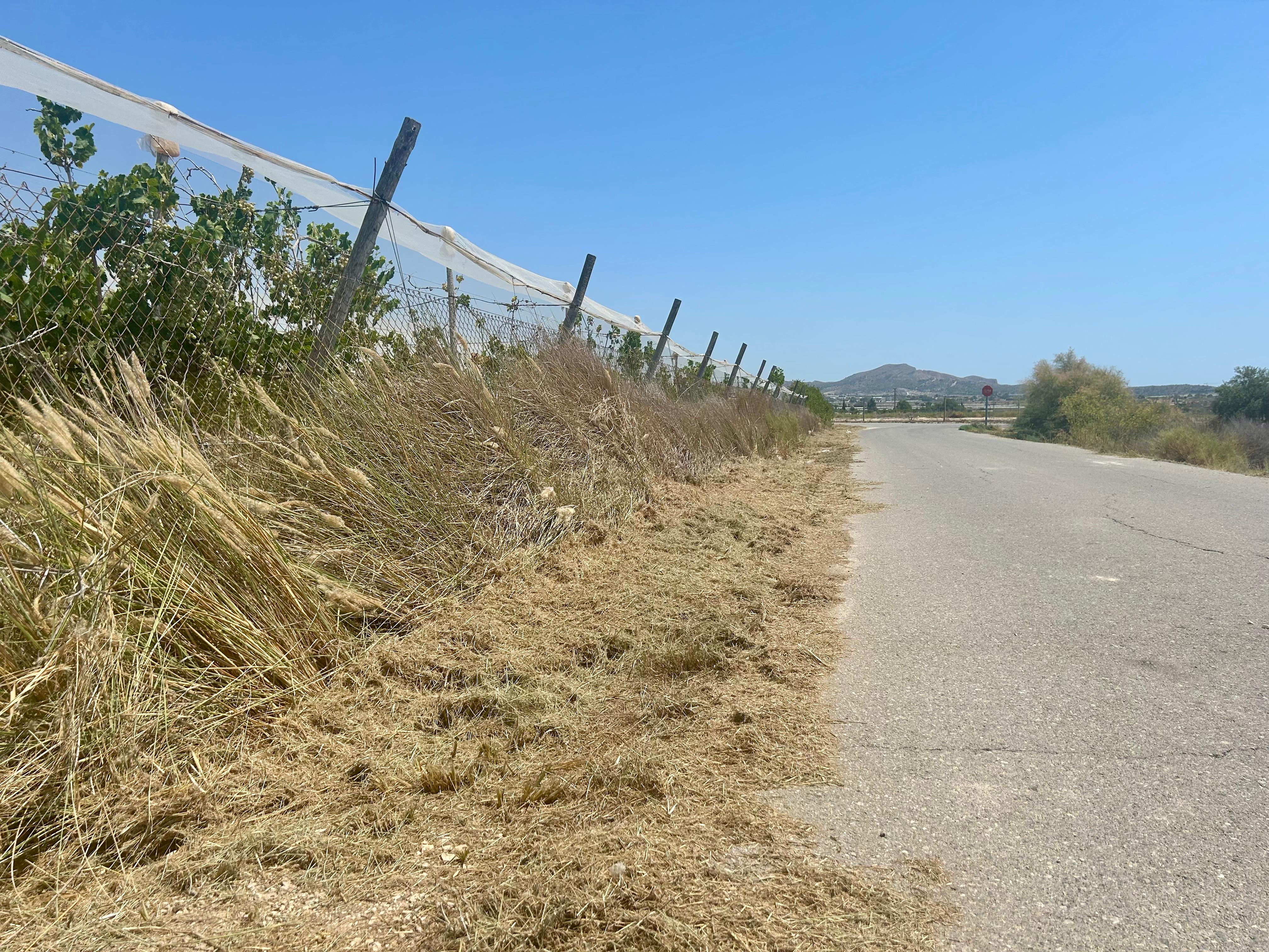 Monforte del Cid acelera las labores de desbroce