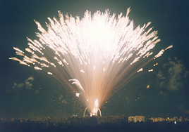 Palmera de la Virgen en Elche.