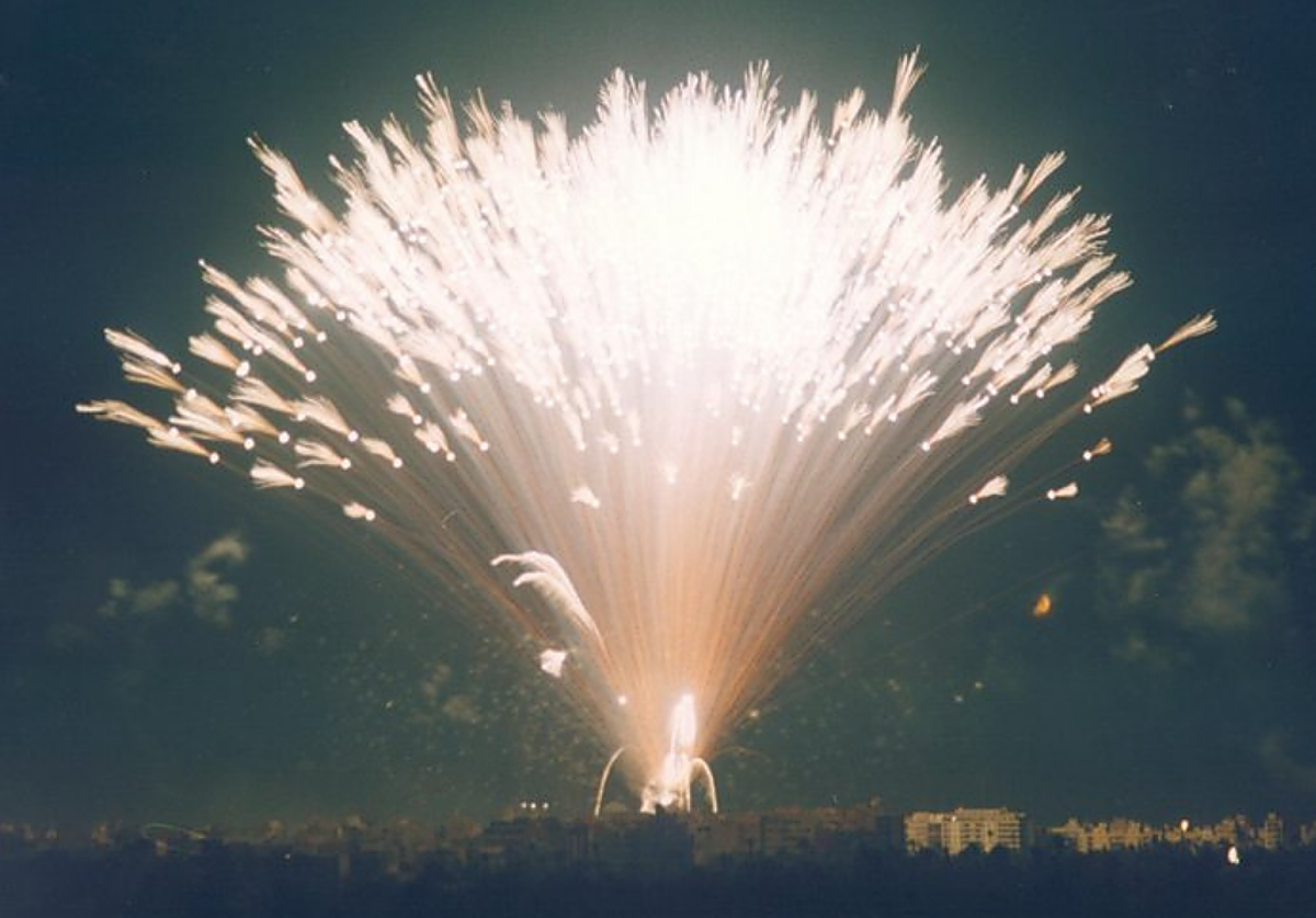 Palmera de la Virgen en Elche.