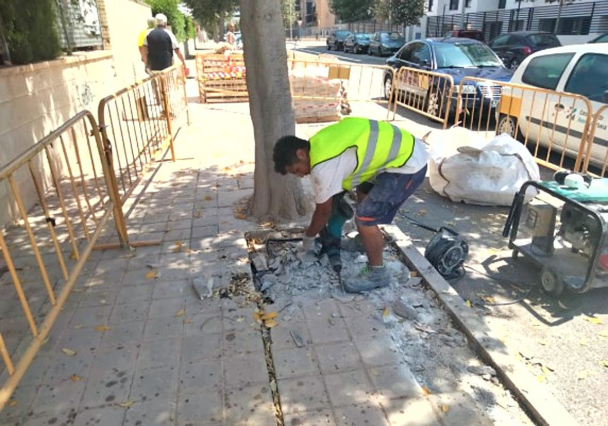 Un trabajador de la empresa de mantenimiento.