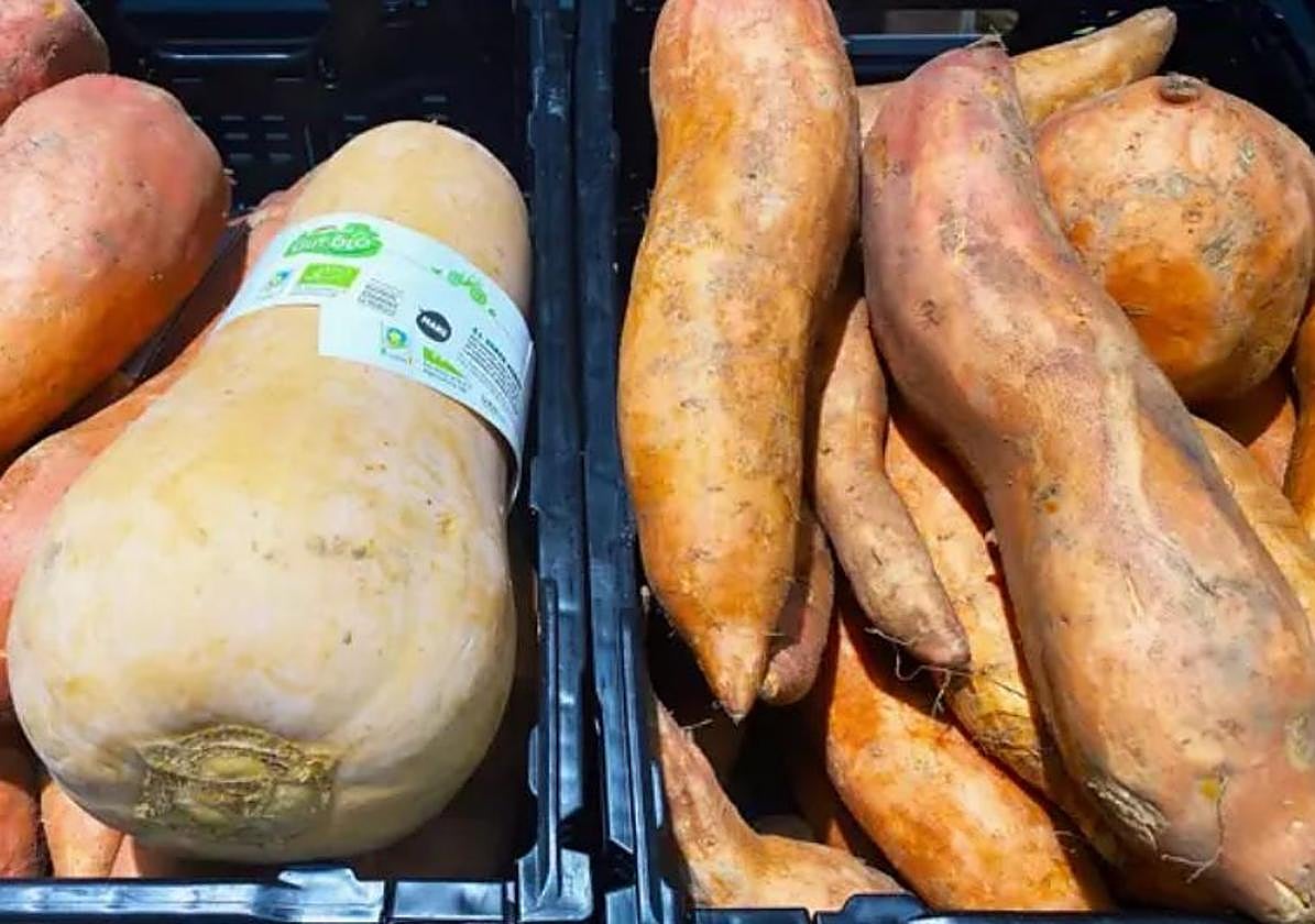 Los agricultores alertan del riesgo de desaparición del cultivo en la próxima campaña.