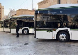 Flota de autobuses de Elche