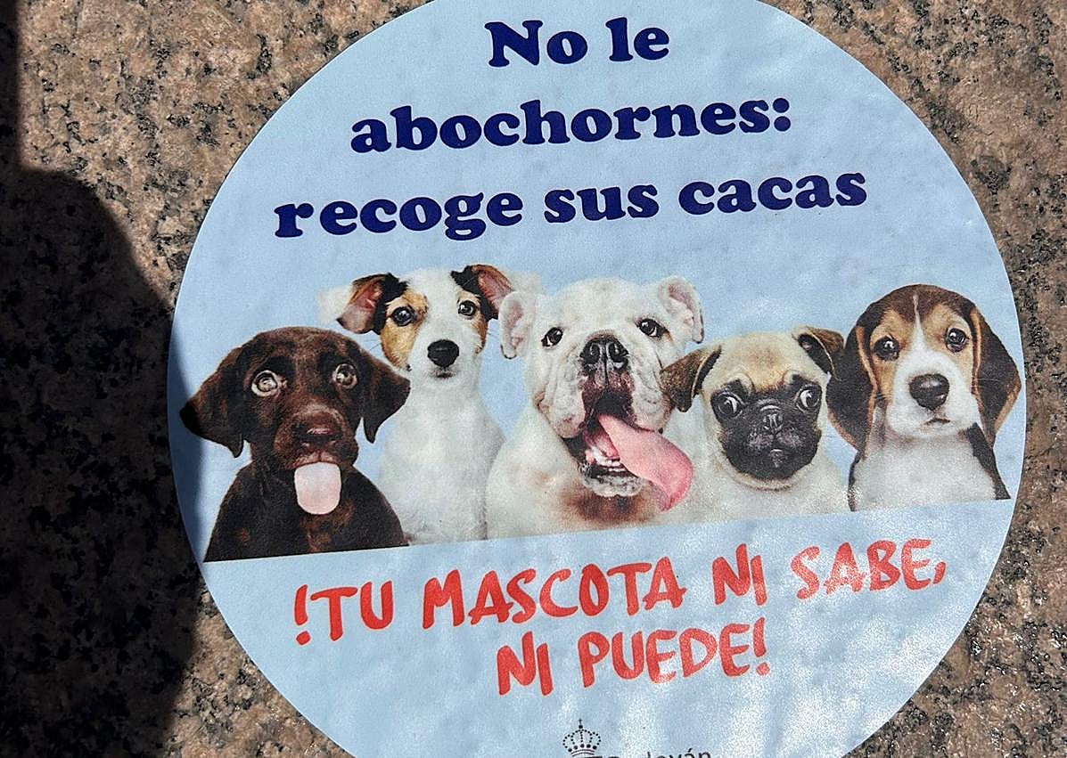 Imagen secundaria 1 - Algunas de las pegatinas que el Ayuntamiento pegará por el municipio