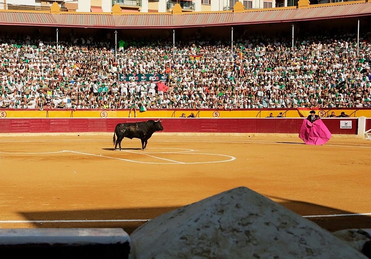 Corrida de toros