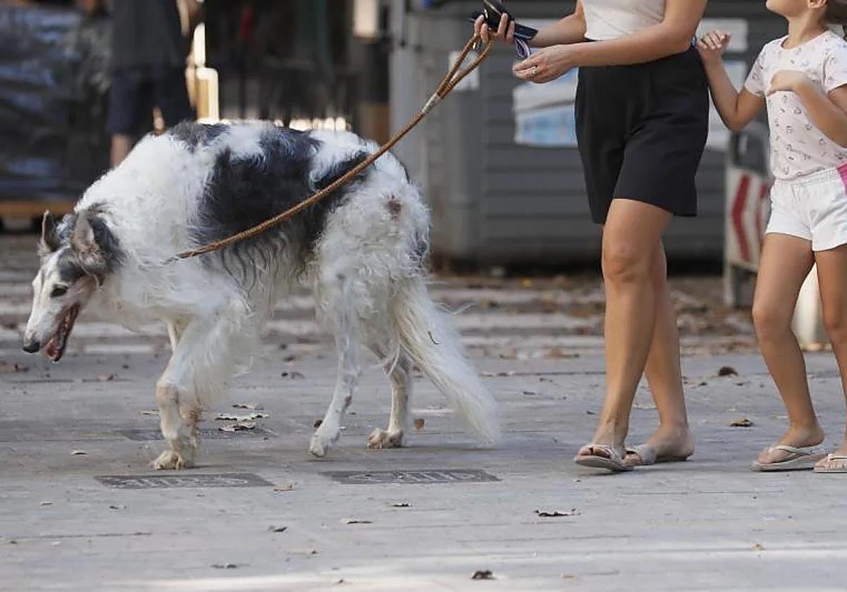 Una familia pasea a un perro