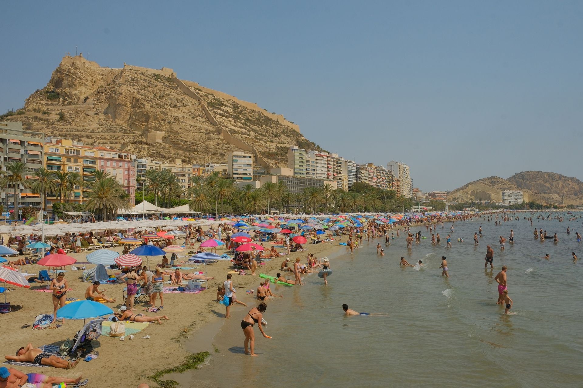 La playa del Postiguet, llena hasta la bandera este sábado.