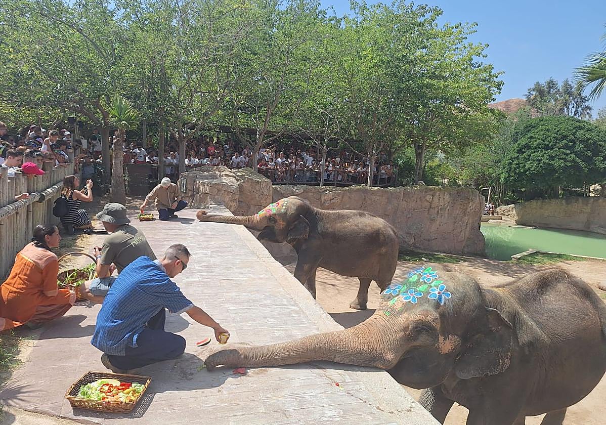 Petita, en su último cumpleaños.