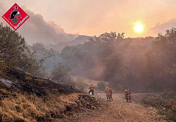 Los bomberos del consorcio en Castilla y León.