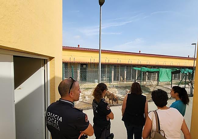 Las autoridades visitan el Centro de Protección Animal para evaluarlo.