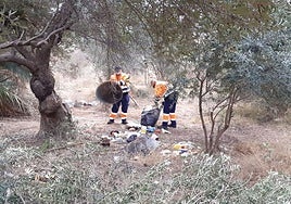 Una brigada forestal actua en San Gabriel.