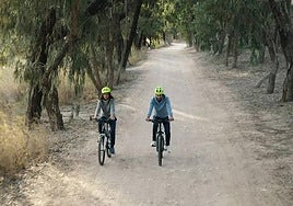 Convega ha impulsado más de 50 acciones en la Vega Baja desde 2021.