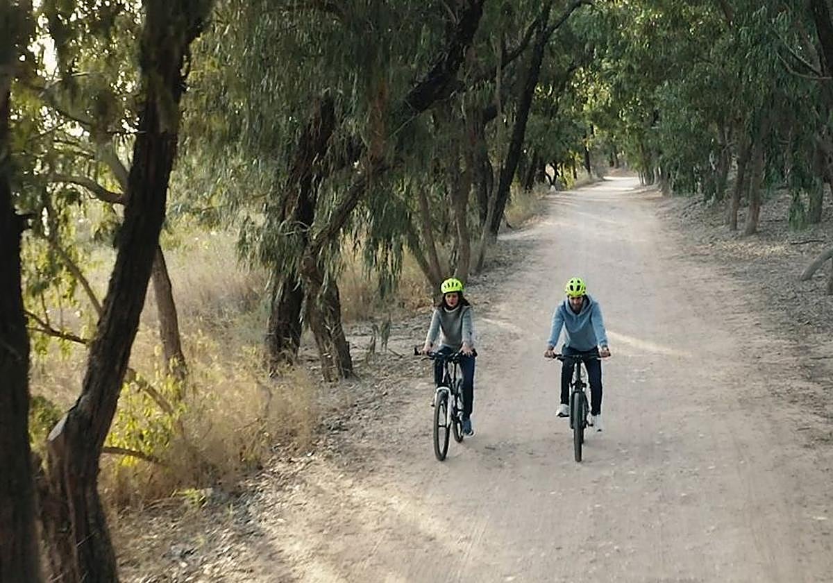 Convega ha impulsado más de 50 acciones en la Vega Baja desde 2021.