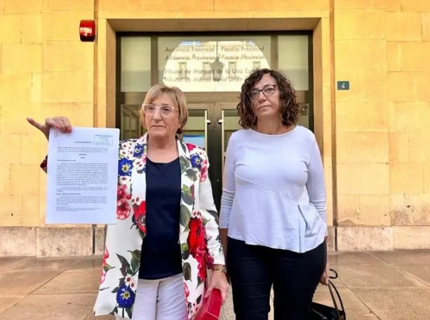 La portavoz del grupo municipal socialista en el Ayuntamiento de Alicante, Ana Barceló (i), y la concejala del PSPV Trini Amorós (d).