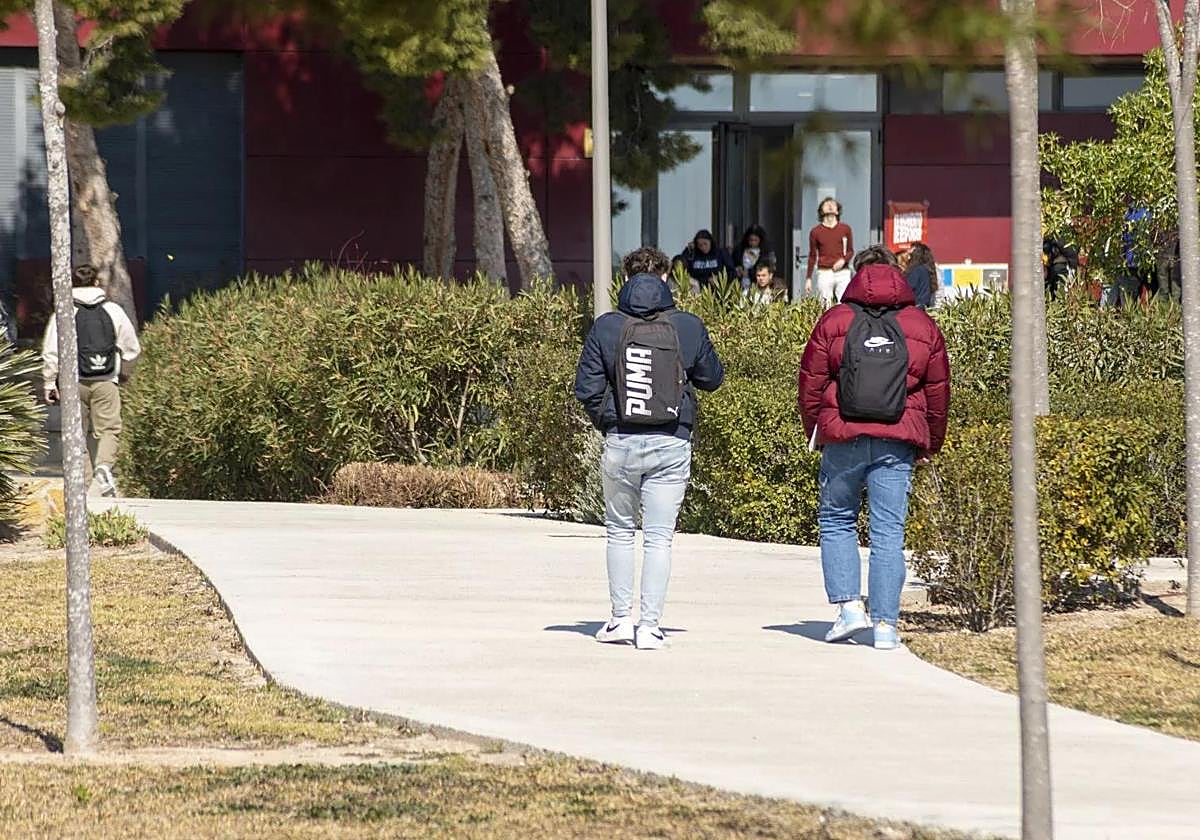 Estudiantes en el Campus de Elche de la UMH.