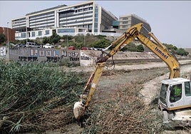 Limpieza de un cauce en Alicante.
