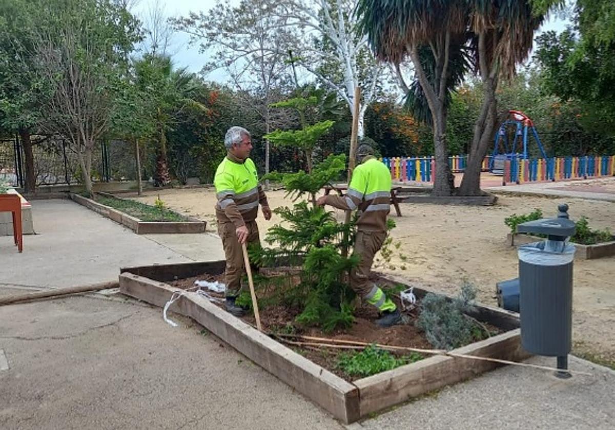 Acción de renaturalización en un colegio de Alicante.