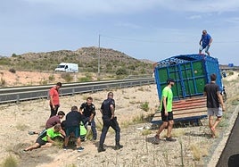 Momento de la captura de la vaquilla