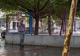Lluvia junto a un centro escolar de Alicante.