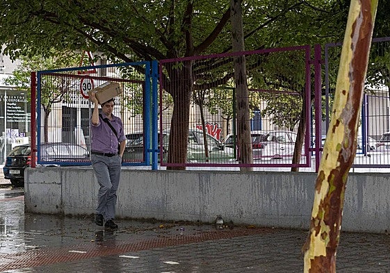 Lluvia junto a un centro escolar de Alicante.