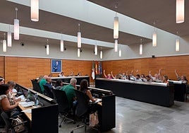 Aprobación de la contrata en el pleno de San Vicente, este lunes.