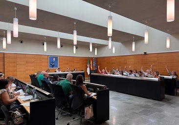 San Vicente del Raspeig adjudica la mayor contrata de su historia: 85 millones por el servicio de limpieza