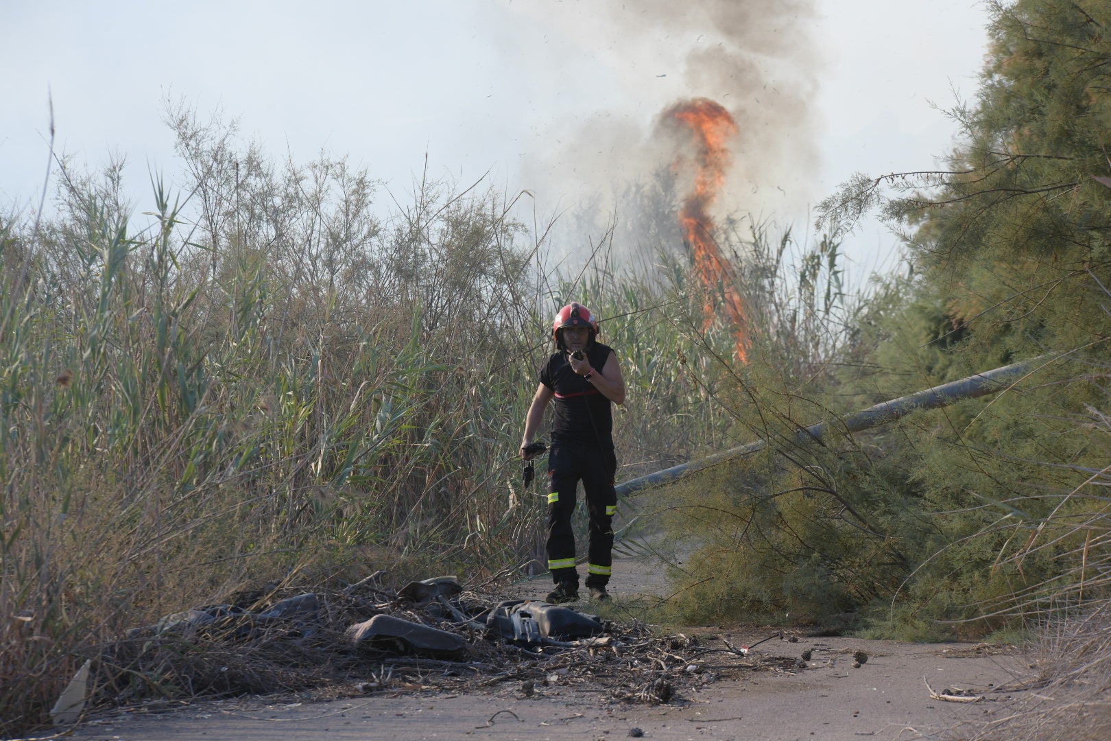 El incendio forestal de Alicante, en imágenes