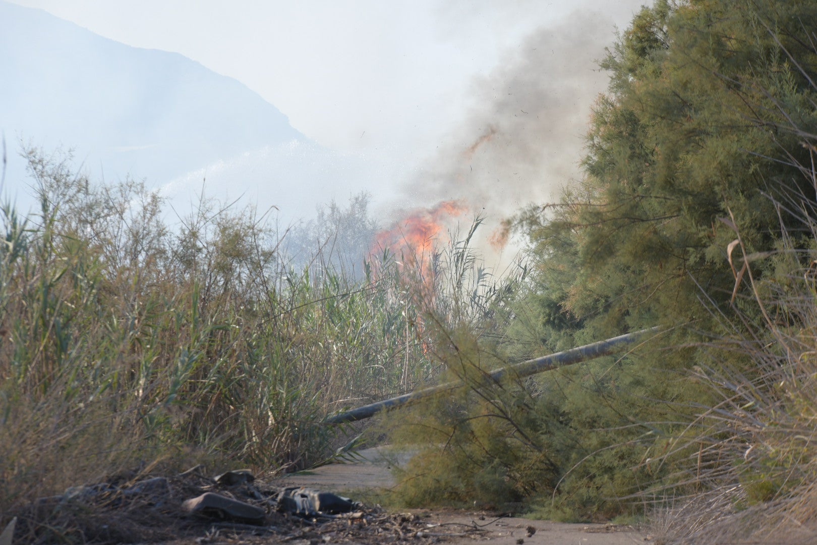 El incendio forestal de Alicante, en imágenes