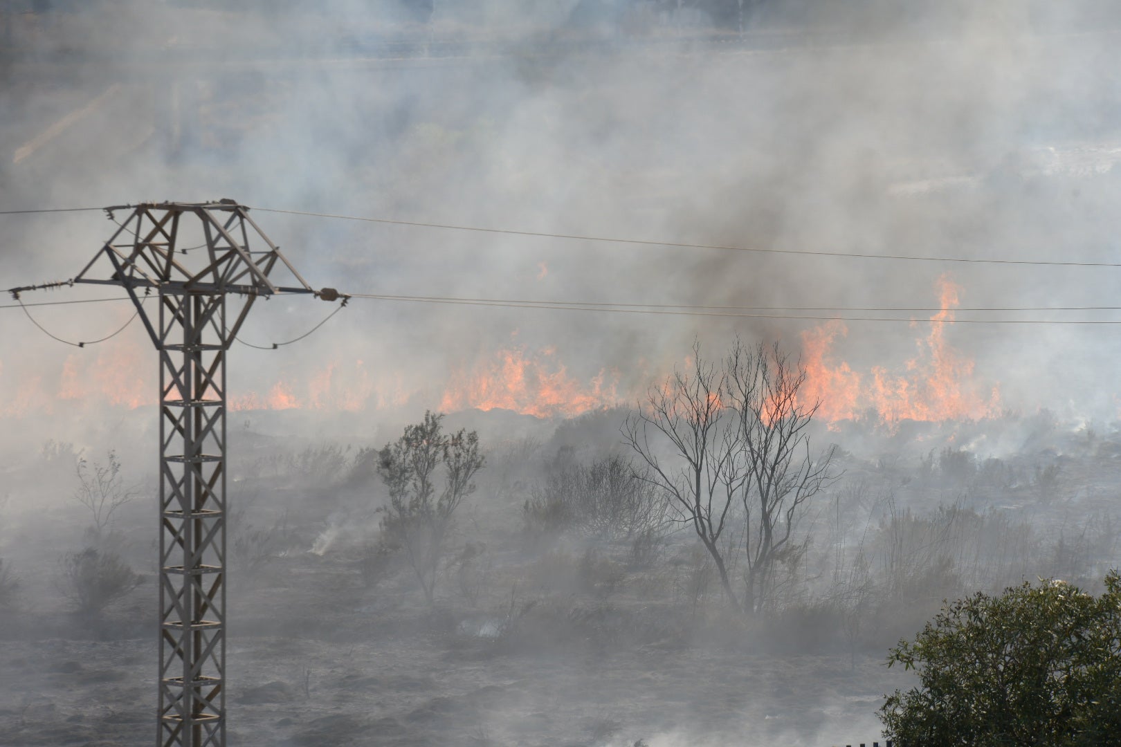 El incendio forestal de Alicante, en imágenes