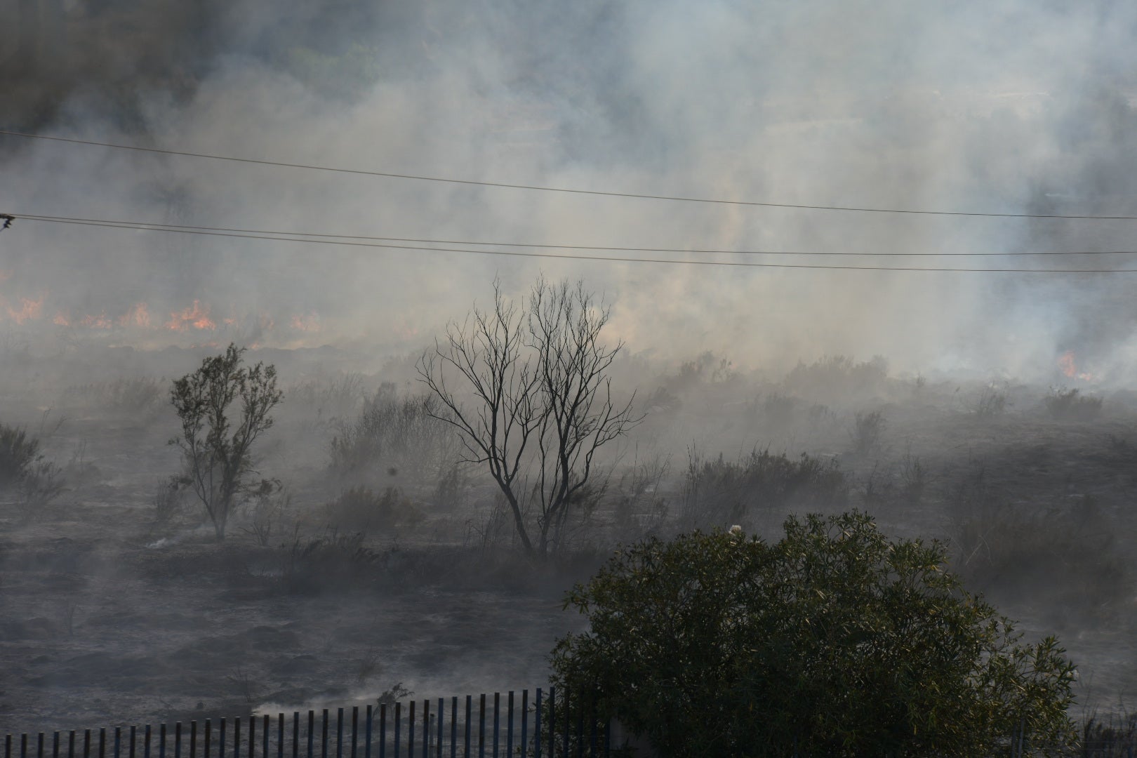 El incendio forestal de Alicante, en imágenes