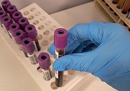 Durante el 2024 se registraron 840 nuevos donantes de médula ósea en la provincia de Alicante.