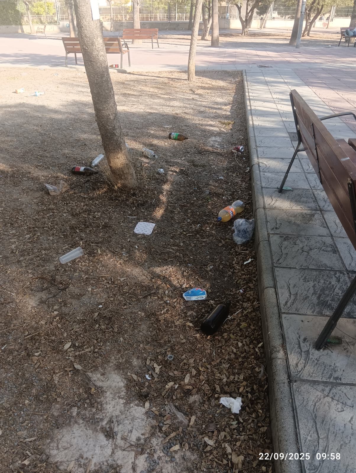 Imagen secundaria 2 - Un botellón continuo frente a un colegio de Alicante