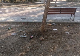 Restos de botellón encontrados este mismo lunes por los padres y madres del colegio.