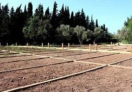 Huertos urbanos creados en el municipio alicantino.