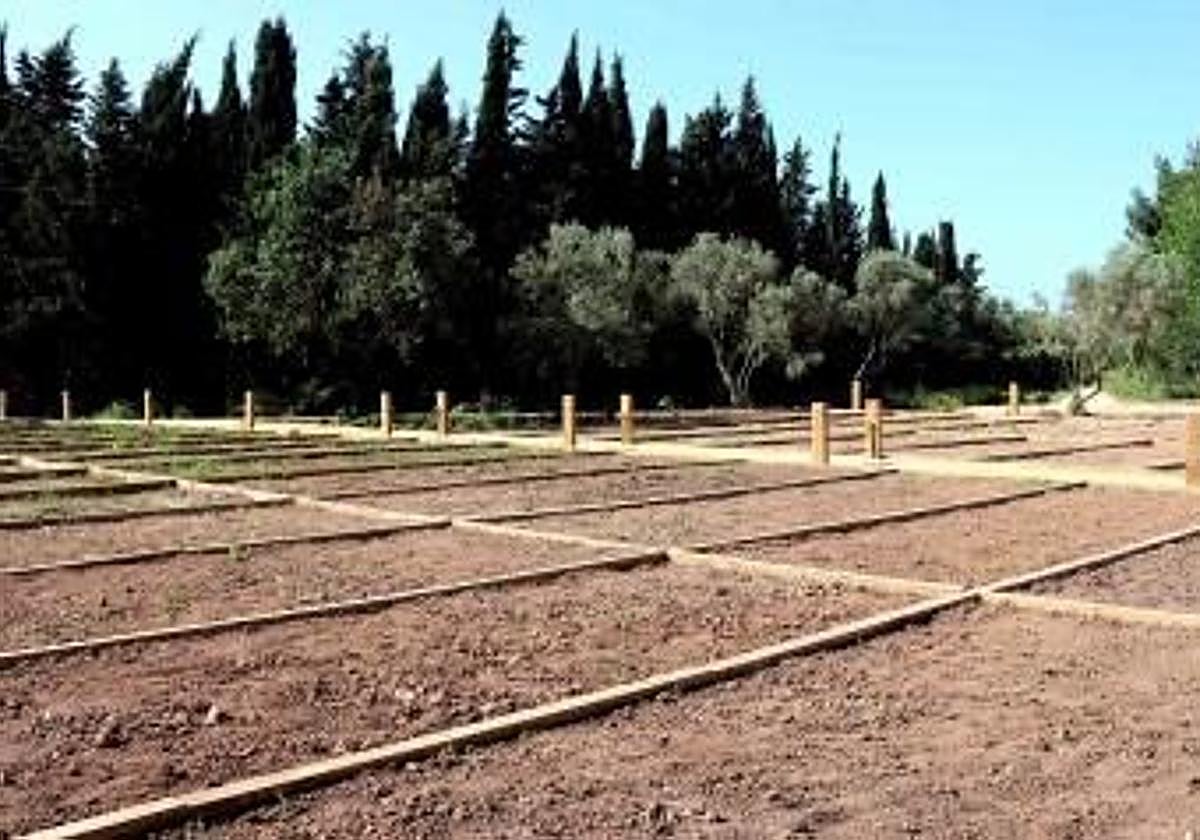 Huertos urbanos creados en el municipio alicantino.