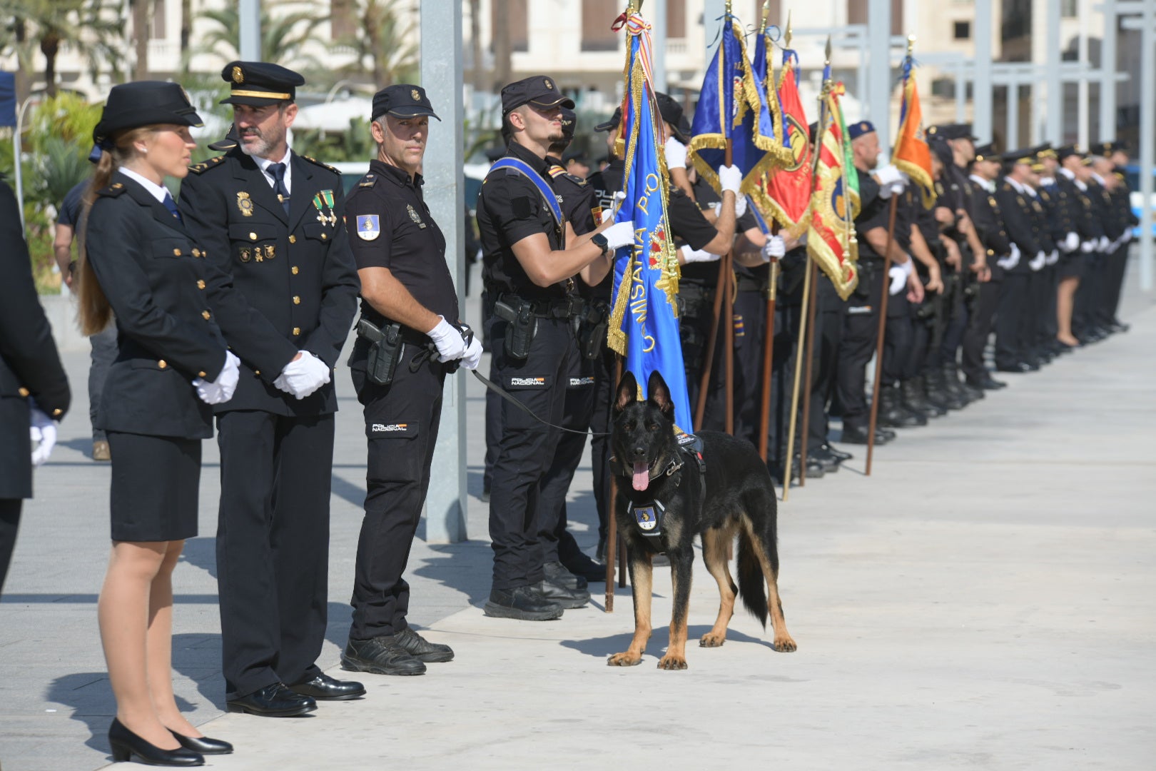 Orgullo azul en Alicante con el homenaje de la Policía Nacional a su patrón, los Santos Ángeles Custodios