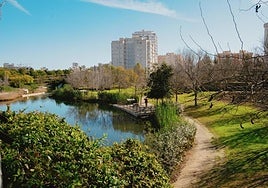 Parque inundable La Marjal en la playa de San Juan.