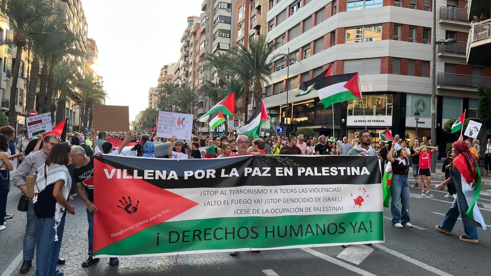 Cerca de 6.000 personas piden desde Alicante el cese del conflicto en Gaza