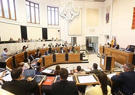 Pleno ordinario de la Diputación Provincial de Alicante.