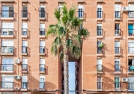 Bloque de viviendas públicas.