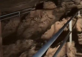 Rambla Urbana de Pilar de la Horadada, esta madrugada.