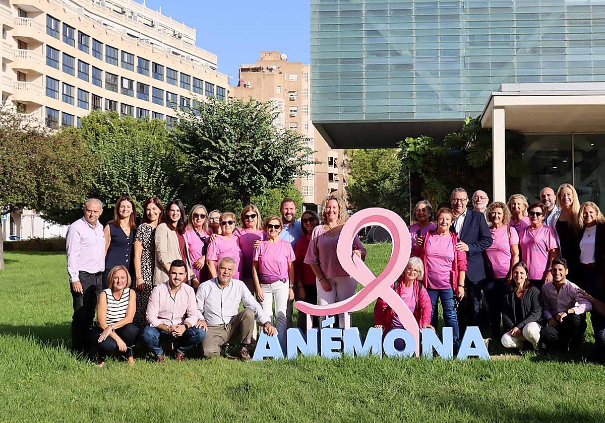 The pink ribbon against breast cancer is now displayed at the Benidorm Town Hall