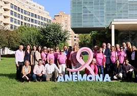 El lazo rosa contra el cáncer de mama ya luce en el Ayuntamiento de Benidorm