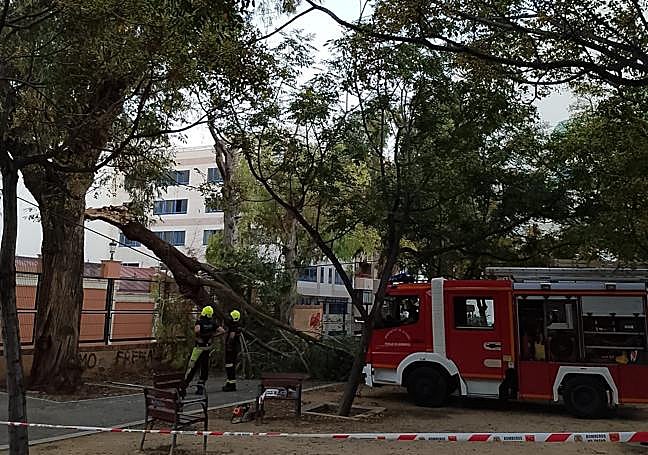 Los bomberos en las labores de retirada.