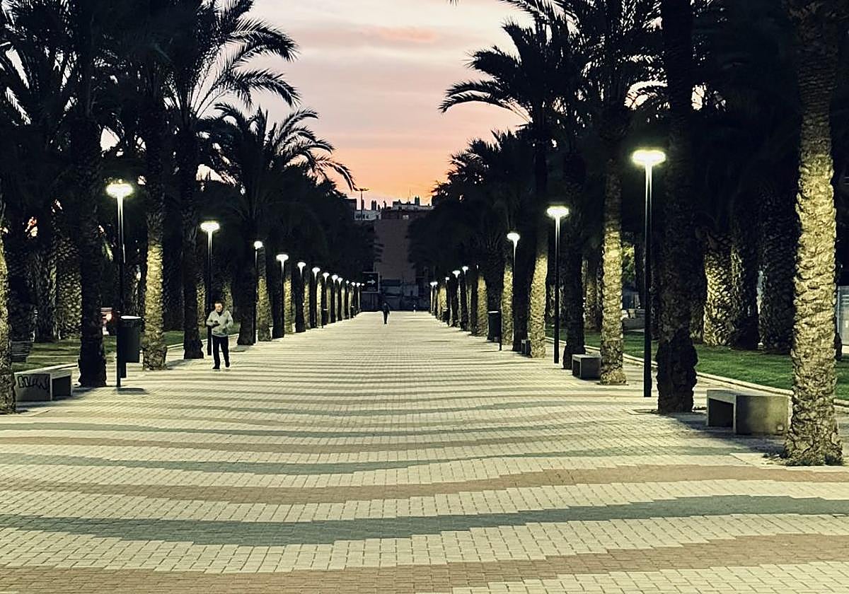 lmagen de archivo del Paseo de la Policía Nacional.