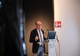 El presidente del Colegio de Arquitectos de Alicante, Emilio Vicedo.