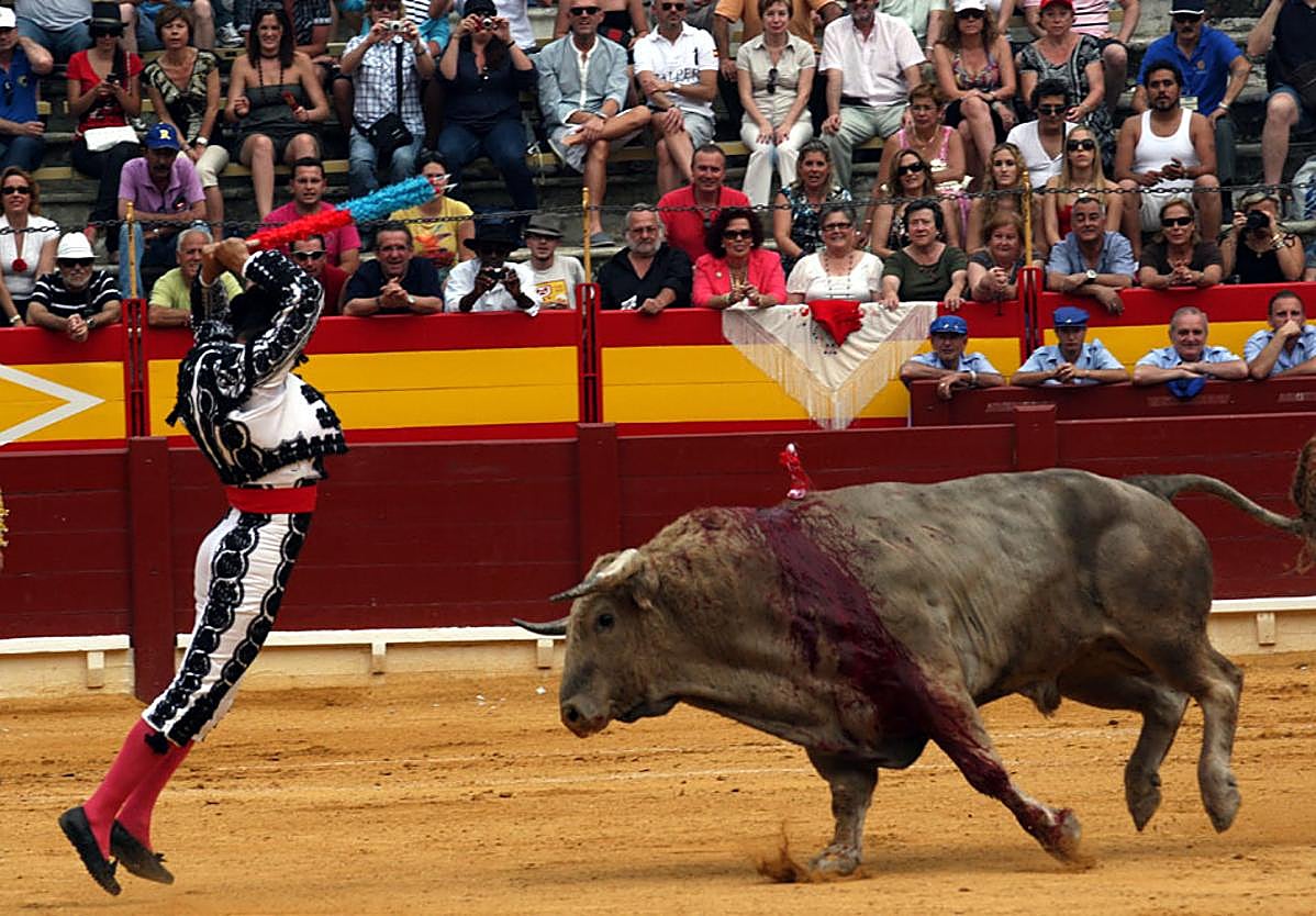 Morante places the banderillas on the Sílfide-33, a bull from Juan Pedro Domecq