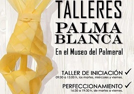 Los talleres de palma blanca regresan al Museo del Palmeral para preservar una de las tradiciones más emblemáticas de Elche.