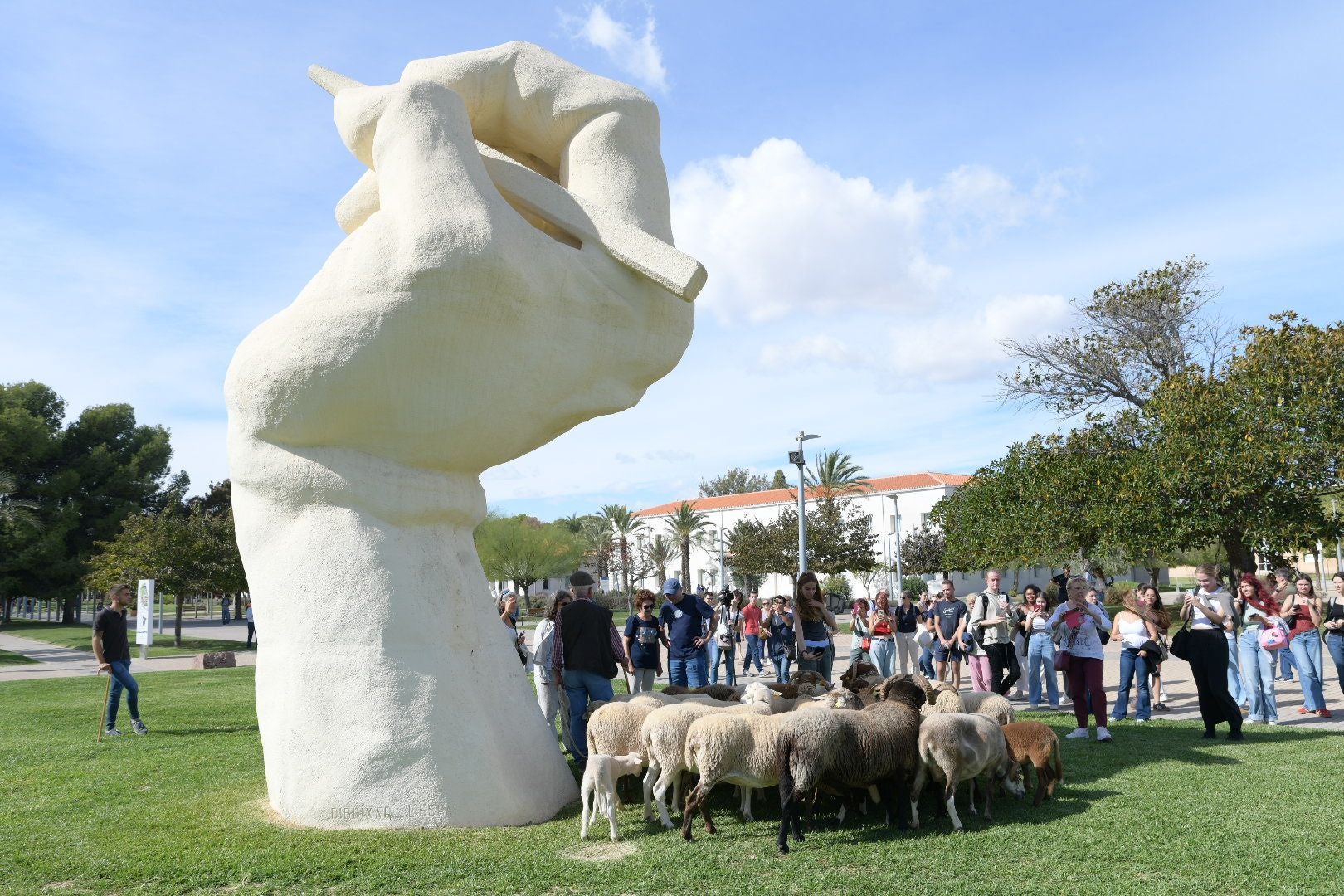 De la Cañada Real al aula magna: las ovejas toman la Universidad de Alicante por la ruta de la trashumancia
