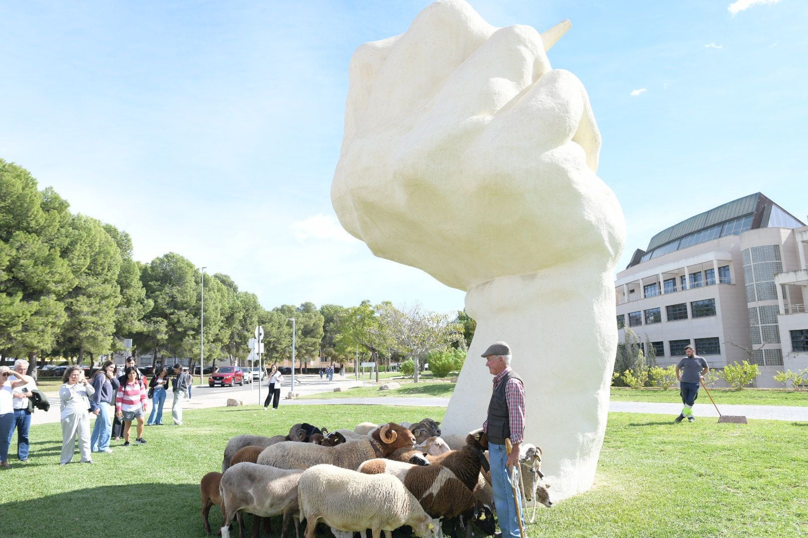 De la Cañada Real al aula magna: las ovejas toman la Universidad de Alicante por la ruta de la trashumancia